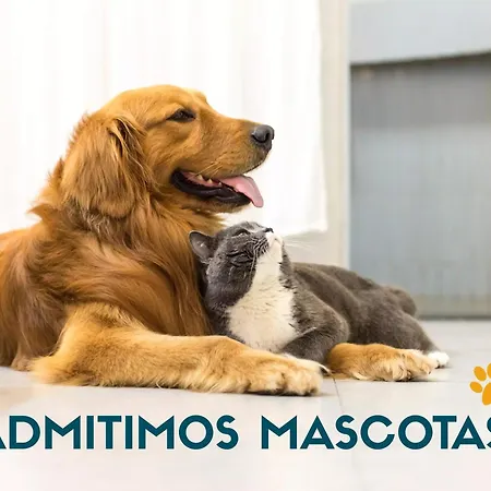 Apartamento Costa Azahar 3000